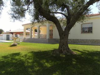 Villa Bonestar - Vinarós - 9