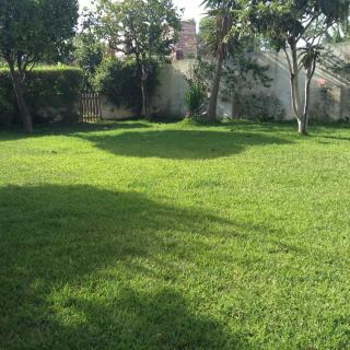 5minutos do jardim até ao mar - Parede - 3