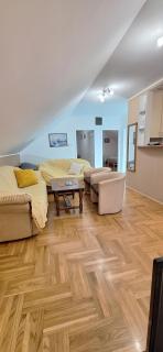 ANA Apartment - Dobanovci - 8