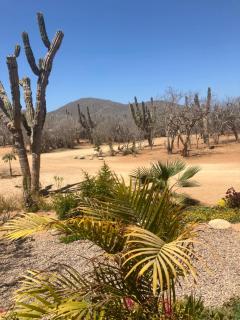 Rancho Escondido - Cedro - 4