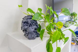 2BR Retreat Near Balboa Park - 1