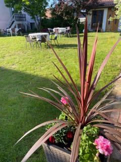 Guest House Wiejska Sielanka - Brody - 4