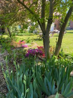 Guest House Wiejska Sielanka - Brody - 9