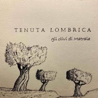 Tenuta Lombrica - 2