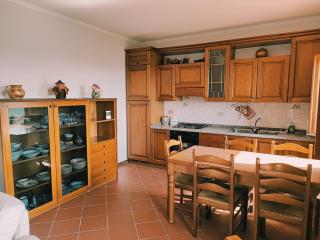 Tenuta Lombrica - Capannori - 1