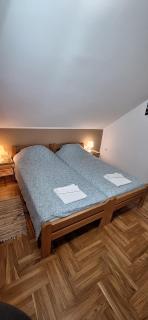 ANA Apartment - Dobanovci - 1