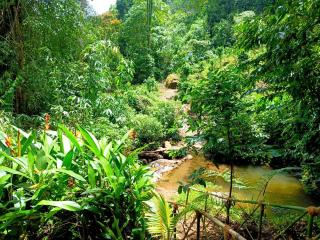Triloka by The Offbeat Crew - Munnar - 2