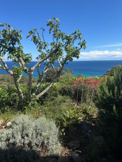 Maison vue mer Palombaggia - Porto-Vecchio - 5