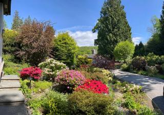 The Shades - Bliss In The Heart of Windermere - 7