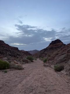 al-qatar mountain camp - Wadi Rum - 7