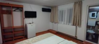 Pensiunea Leo si Georgiana - Ocnele Mari - 1