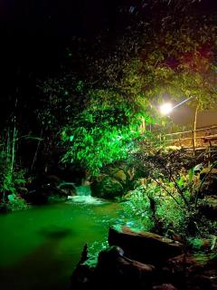 Triloka by The Offbeat Crew - Munnar - 1