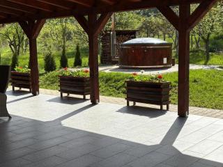 Cabana Gap House - Colţeşti - 2