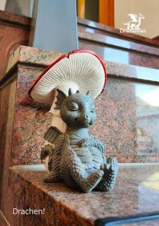 Drachennest - die tierfreundliche Ferienwohnung - 8