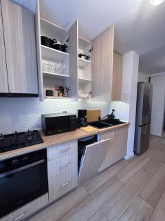 Central Apartment Bucharest Mosilor - Boekarest - 6