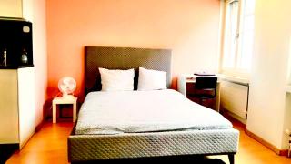 New Studio in the Center of Zurich Old Town Muhlegasse, 33 - Zurique - 9