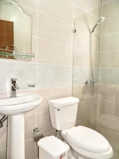 The Chic Hideout full apt in san isidro Terrace - Juan López - 9