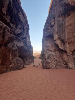 Awad Bedouin camp - 3