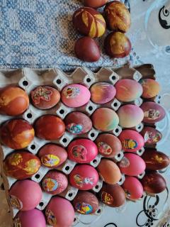 Vila NENA - Kuršumlija - 5