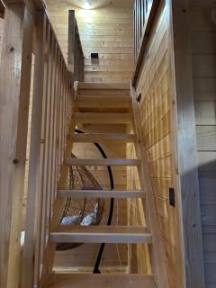 Driftwood Dreams - 3