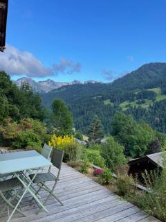 La marmotte qui papote - Le Grand-Bornand - 0