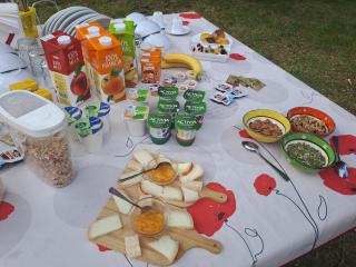 Sunshine Suites - Florencia - 8