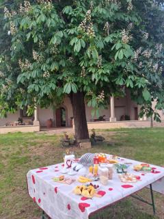 Sunshine Suites - Florencia - 7