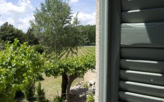 La bastide d'emilie sud est - Saint Antonin du Var - 7