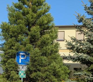 Pension zum Reiterhof, Fewo 1 - 8