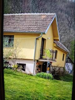 Vila NENA - Kursumlijska Banja - 3