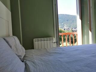 Alquiler apartamento único en la Vall de Boí - Pla de l'Ermita - 4