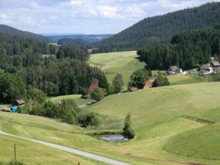 Apartment in Lauterbach near Ski Slopes - Lauterbach - 1