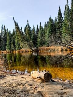Farouche Tremblant - Hotel Nature & Expériences - 5
