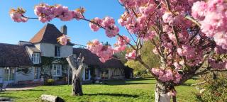 Country house for animals and nature lovers - Courcy-aux-Loges - 0