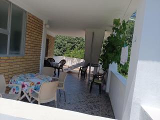Apartments M1 Pine tree - Sutomore - 1