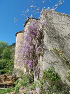 Dolce Vita - Saint-Laurent-le-Minier - 8