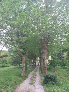 Dolce Vita - Saint-Laurent-le-Minier - 7