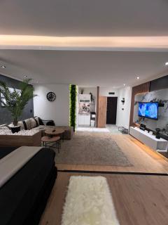 Apartman Podroom Lux - Kraljevo - 4