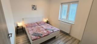 Apartmán Hortenzie - Mařenice - 8