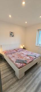 Apartmán Hortenzie - Mařenice - 6
