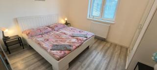 Apartmán Hortenzie - Mařenice - 3