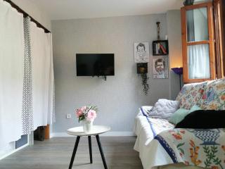 Estudio con encanto en Boí Taüll - Pla de l'Ermita - 1