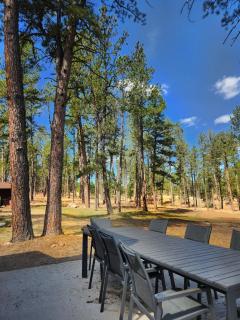 Newly updated! Pine Lodge, Cabin and bunkhouse - 1