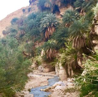 Wadi Bin Hammad Five Stars - Jurf ad Darāwīsh - 0