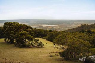 Dreamy 1 by Tiny Away - Red Hill - 9