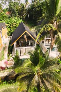Ubud Dzen Villa No 8 - Ubud - 6