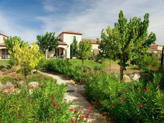 Attached holiday home with terrace - Homps - 2