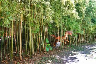 Carriage House No Stairs Near Forsyth Park - 7