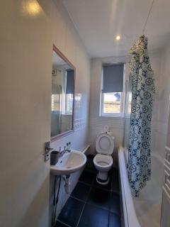 A4-1st Floor 3 bed flat near Elephant and Castle - 7