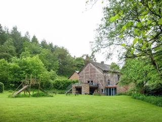 Cottage in Aisne Valley with Garden - Bournoufay - 3